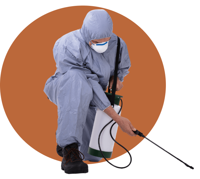 Pest Control controlo de pragas