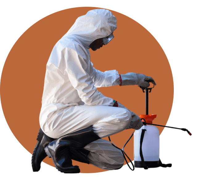Pest Control controlo de pragas