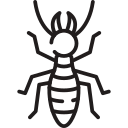 Pest Control controlo de pragas