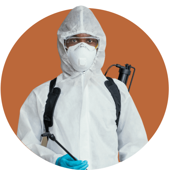 Pest Control controlo de pragas
